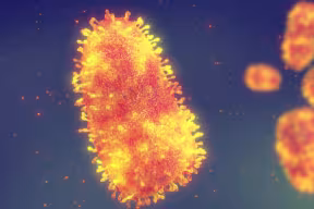 Artist's impression of the rabies virus