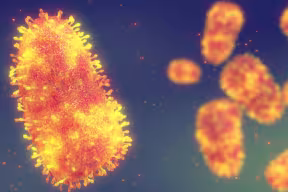 Artist's impression of the rabies virus