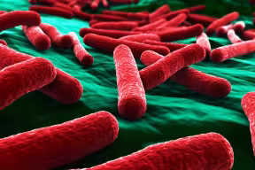 An artistic close-up image of E. coli bacteria. Image credit: Shutterstock.