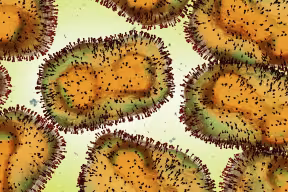New study finds that monkeypox virus can spread widely within specialist hospital isolation rooms