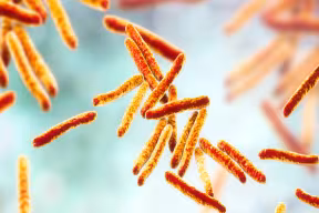 Structural study of antibiotic opens the way for new TB treatments