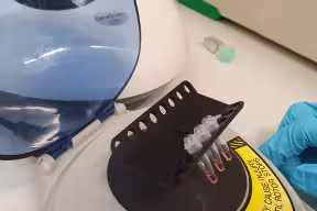 Rapid testing device