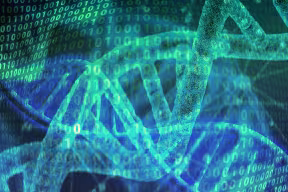 DNA strands