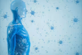 New trial to study how the human immune system adapts to ‘tolerate’ malaria parasites