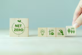 Net Zero needs carbon capture