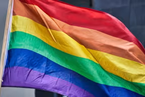 Picture of the rainbow flag