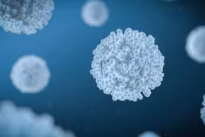 3D illustration of white blood cell leukocyte