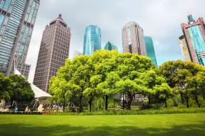 a wide-range of well‐designed NbS can deliver multiple benefits for people and nature. For example, coastal mangroves or coral reefs can protect from storm surges, urban green spaces help to cool cities, and improving soil health can help farmers adapt to