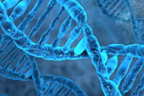 Time to step inside your DNA