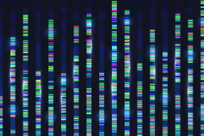 Discovery of gene involved in chronic pain creates new treatment target