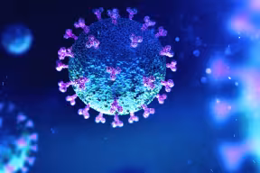 Coronavirus cell