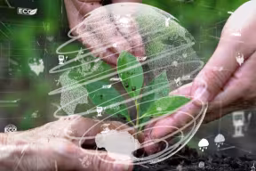 True Planet: Oxford research for a changing world  The world is in a climate crisis, and Oxford researchers are at the forefront of trying to find solutions in adaptation and resilience, nature, energy transition, clean road transport and green finance. O