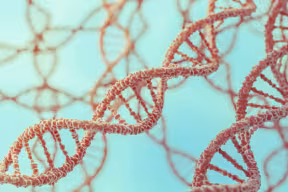 DNA strand
