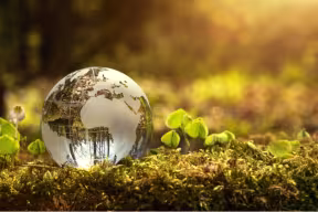An ambitious scaling-up of nature-based solutions needs to be implemented fast but also carefully, in a way that supports biodiversity and local people’s rights, while keeping fossil fuels in the ground