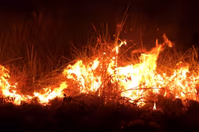 Forest clearance caused by unsustainable cattle ranching, land-grabbing and untitled land are precipitating the growing incidence of Colombian wildfires