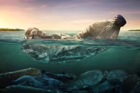 Plastic water bottle floating in the ocean